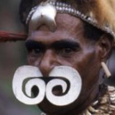 Asmat 1 260x150